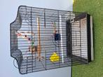 Complete vogel kooi met bakjes speelgoed, Ophalen, Zo goed als nieuw, Metaal, Vogelkooi