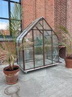 Greenhouse oude druivenkas, Ophalen