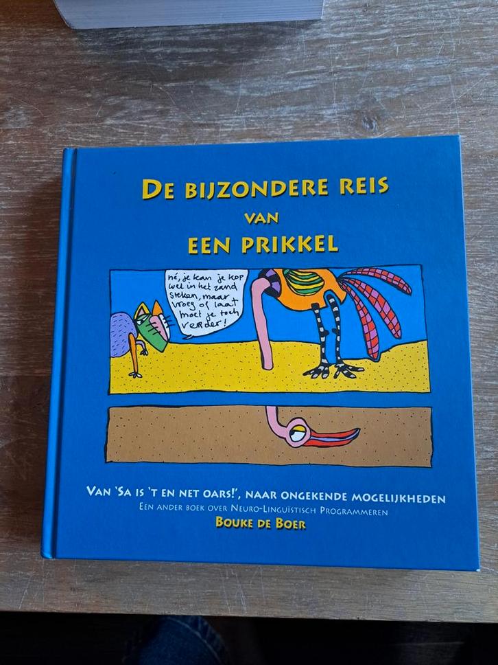 Bouke de Boer - De bijzondere reis van een prikkel, Boeken, Psychologie, Zo goed als nieuw, Ontwikkelingspsychologie, Ophalen of Verzenden