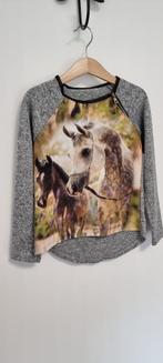 Trui met paarden maat 110 116 NIEUW !, Ophalen of Verzenden, Nieuw, Meisje, Trui of Vest