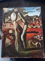 Dali Catalogus Rotterdam 1970, Ophalen of Verzenden, Gelezen, Overige onderwerpen