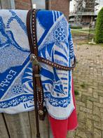 Western ( show-) hoofdstel met dots, Dieren en Toebehoren, Ophalen, Gebruikt, Western