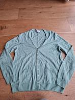 Peter Hahn wollen vest wol groen mt 40 L, Ophalen of Verzenden, Zo goed als nieuw, Maat 38/40 (M), Groen