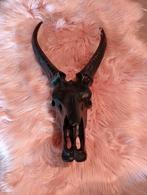 Mooie Skul - 50 cm hoog, Ophalen of Verzenden, Zo goed als nieuw