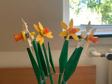 Lego Narcissen 40747 - Zo goed als nieuw! beschikbaar voor biedingen