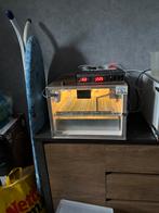 MS 50 broedmachine, Dieren en Toebehoren, Pluimvee | Toebehoren, Ophalen of Verzenden, Gebruikt, Broedmachine