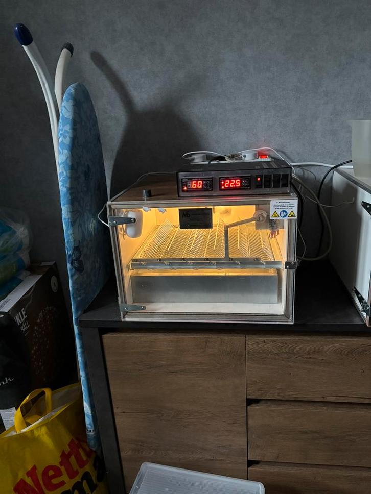 MS 50 broedmachine, Dieren en Toebehoren, Pluimvee | Toebehoren, Gebruikt, Broedmachine, Ophalen of Verzenden