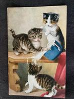 Poes kat  1930, Ophalen of Verzenden, 1920 tot 1940, Gelopen, Hond of Kat