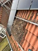 Zonnepanelen Vogelwering, Doe-het-zelf en Verbouw, Zonnepanelen en Toebehoren, Ophalen of Verzenden, Nieuw, Compleet systeem