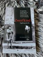 Roman • Ingeborg Jacobs - Zwerfkind, Ophalen of Verzenden, Zo goed als nieuw, Ingeborg Jacobs