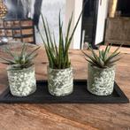 Set van 3 kleine plantenpotjes, Ophalen, Zo goed als nieuw