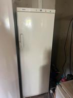 Diepvrieskast Siemens, Witgoed en Apparatuur, Vriezers en Diepvrieskisten, Vrieskast, Gebruikt, 160 cm of meer, Ophalen of Verzenden