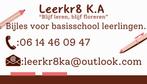 Bijles docent basischoolleerlingen, Privéles, Bijles