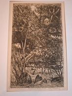 Ets Noordzee dieren van Eug. Rensberg, Antiek en Kunst, Kunst | Etsen en Gravures, Ophalen of Verzenden