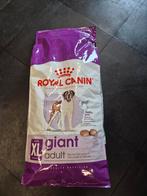 Royal Canin Giant 15kg, Ophalen, Hond
