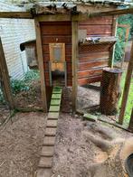Kippenhok en kippen ren. Zelf demonteren. GRATIS, Ophalen, Gebruikt, Kippenhok of Kippenren