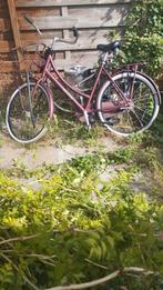 Cortina Damesfiets - Bordeaux Rood, Versnellingen, Ophalen, Overige merken, 53 tot 56 cm