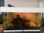 Mooie juwel aquarium, Dieren en Toebehoren, Vissen | Aquaria en Toebehoren, Ophalen of Verzenden, Zo goed als nieuw, Gevuld zoetwateraquarium