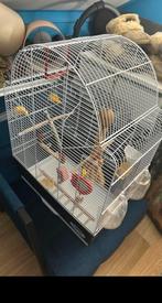 Vogelkooi heel mooi, Dieren en Toebehoren, Ophalen, Zo goed als nieuw, Metaal, Vogelkooi