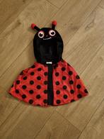 Carnavals cape lieveheersbeestje, Ophalen of Verzenden, Zo goed als nieuw, Carnaval