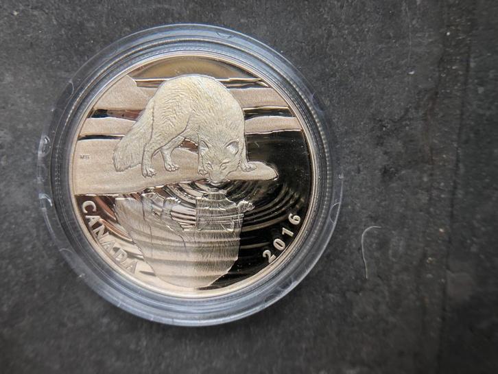2016 Canada - Arctic Fox - 1/2 oz proof silver, Postzegels en Munten, Munten | Amerika, Losse munt, Noord-Amerika, Zilver, Ophalen of Verzenden