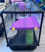Complete Rat Cage Setup with Accessories, Ophalen, Kooi, 60 tot 90 cm, Zo goed als nieuw