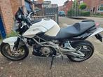 Aprilia SHIVER 750 (bj2010), Motoren, 750 cc, 2 cilinders, Particulier, Meer dan 35 kW