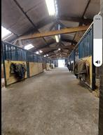 Paardenboxen (13) te huur in Putten (GLD), Ophalen of Verzenden, 1 tot 5 ha, Overige bestemmingen