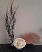 Mooie natuurlijke woonaccessoires zeegras vakkenkast chique, Huis en Inrichting, Nieuw, Ophalen of Verzenden, X, X