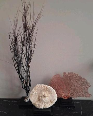 Mooie natuurlijke woonaccessoires zeegras vakkenkast chique  beschikbaar voor biedingen