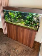 Juwel 240 liter aquarium, Dieren en Toebehoren, Ophalen, Zo goed als nieuw, Leeg aquarium