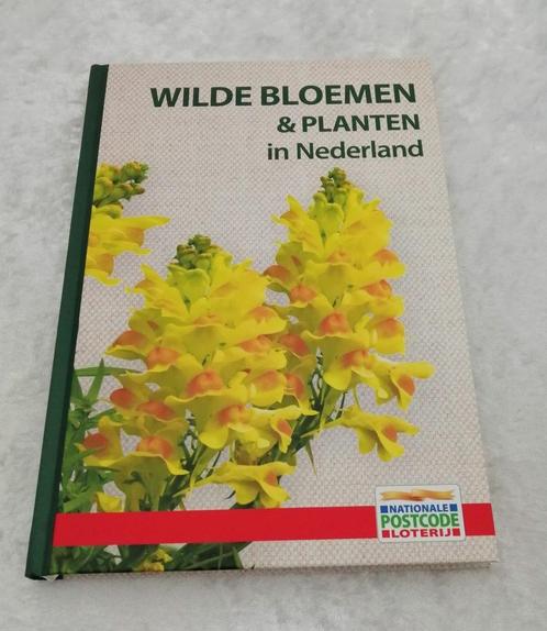 boek Wilde bloemen en planten in Nederland, Boeken, Natuur, Nieuw, Bloemen, Planten en Bomen, Ophalen of Verzenden
