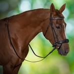 Lieve 6-jr merrie | dressuurpaard | BWP, Dieren en Toebehoren, Paarden, Merrie, B, Gechipt, Dressuurpaard