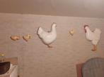 Kippen op muur wandbord