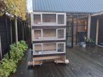 Te koop 9 kweekkooien broedblokken verlichting draaiplateau, Dieren en Toebehoren, Ophalen, Zo goed als nieuw, Hout, Broedkooi of Kweekkooi