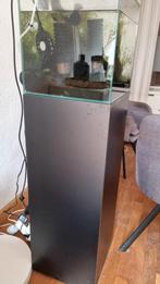 Gratis af te halen kast + klein aquarium, Ophalen, Zo goed als nieuw, Leeg aquarium