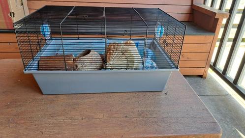 Hamsterkooi, Dieren en Toebehoren, Knaagdieren en Konijnen | Hokken en Kooien, Zo goed als nieuw, Kooi, Minder dan 60 cm, Minder dan 75 cm