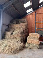 Kleine vierkante hooibalen, Dieren en Toebehoren, Ophalen, Vee