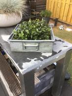 Zink accubak Bosch dukdalf groot, Overige materialen, Gebruikt, Mand, Rond
