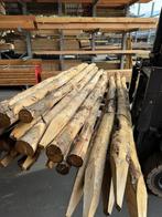 Kastanjepalen 10/12cm 300cm A-kwaliteit, Ophalen, Nieuw, 250 cm of meer, Balken