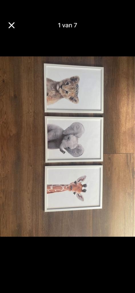 Leuke schilderijtjes met lijst, Ophalen of Verzenden, Zo goed als nieuw