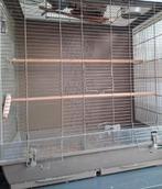 Prachtige Grote vogelkooi Nieuwstaat, Ophalen, Zo goed als nieuw, Metaal, Vogelkooi