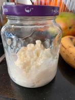 Melk Kefir korrels, Ophalen of Verzenden, Nieuw, Poeder of Drank