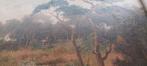 Schilderij: Landschap met Water en Bomen, Antiek en Kunst, Kunst | Schilderijen | Klassiek, Ophalen