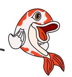 Koi's te koop moet zo snel mogelijk weg., Dieren en Toebehoren, Vissen | Vijvervissen, Karper of Koi