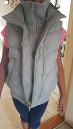 Bodywarmer Amisu Nieuw, Amisu, Ophalen of Verzenden, Nieuw
