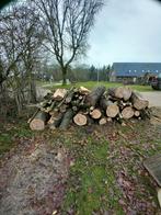 Haardhout, Tuin en Terras, Haardhout, 3 tot 6 m³, Ophalen, Eikenhout, Stammen