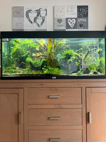 Juwel aquarium met letterlijk alles erop en eraan! beschikbaar voor biedingen