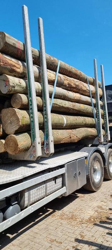 Beuken haardhout/stamhout Top Kwaliteit beschikbaar voor biedingen