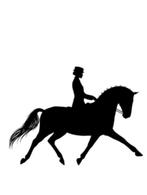 Leuk sport dressuurpaard gezocht om te rijden ( geen koop ), Diensten en Vakmensen, Dieren | Paarden | Verzorging, Oppas en Les